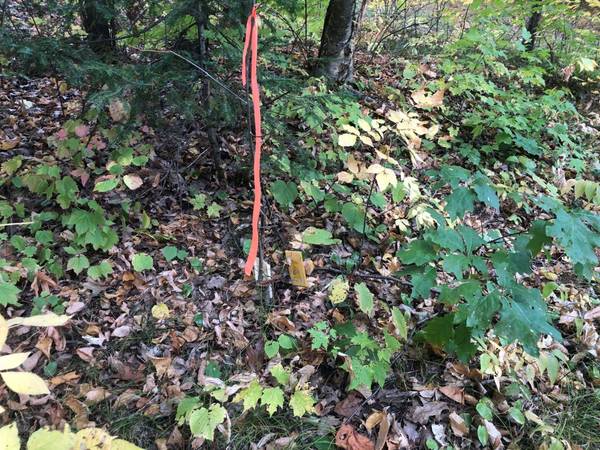 1.05 Ac CIRCLE DR, Lac Du Flambeau, WI 54540