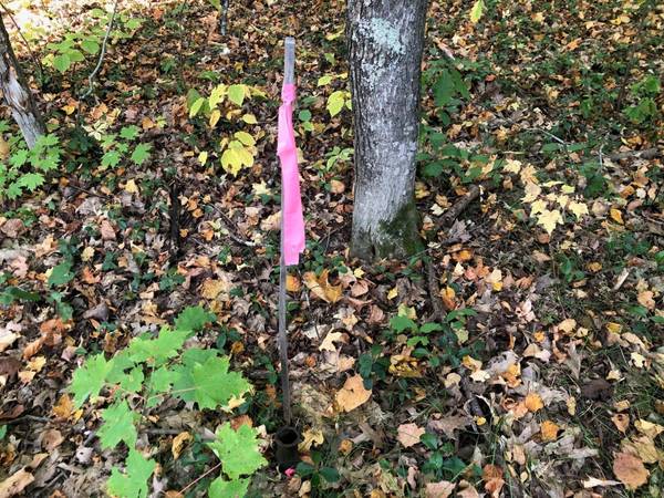 1.05 Ac CIRCLE DR, Lac Du Flambeau, WI 54540