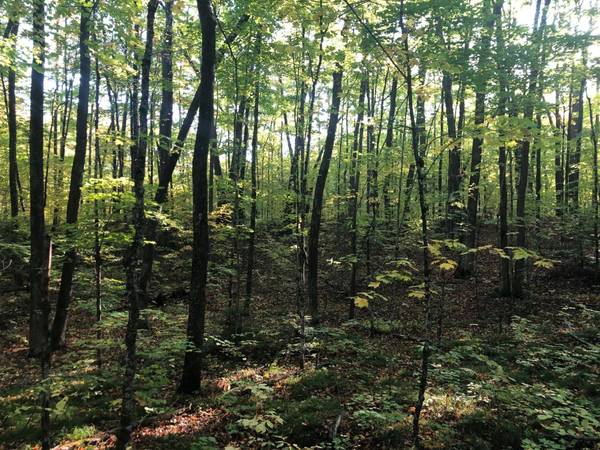 1.05 Ac CIRCLE DR, Lac Du Flambeau, WI 54540