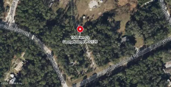 150 FERNCREEK DR, Georgetown, FL 32139