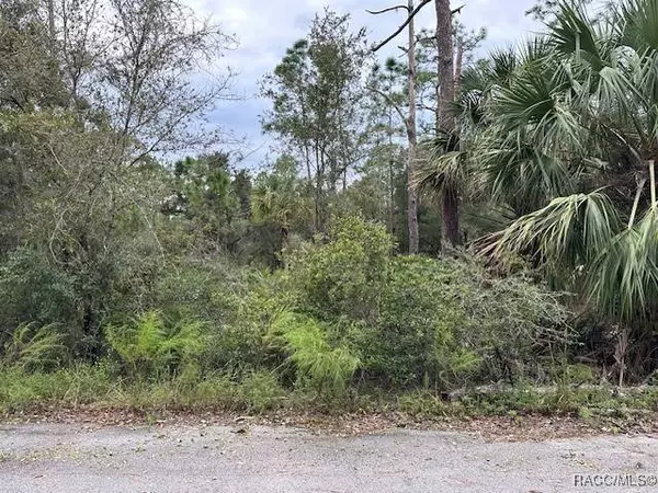 5728 N Andri DR, Crystal River, FL 34428