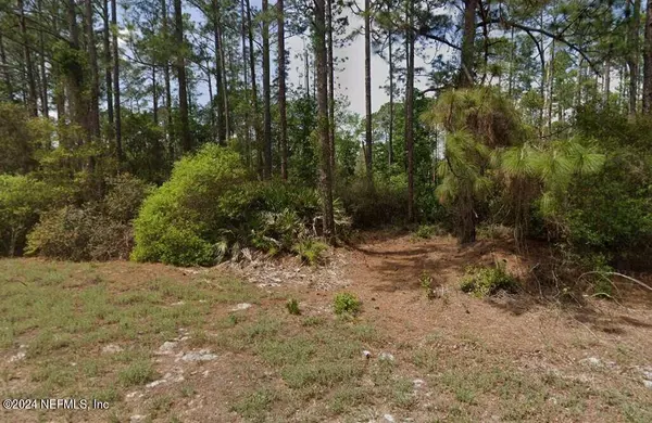 150 FERNCREEK DR, Georgetown, FL 32139