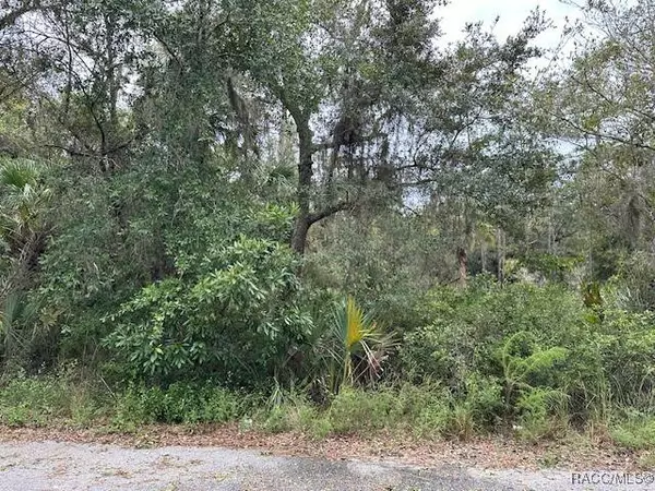 5728 N Andri DR, Crystal River, FL 34428