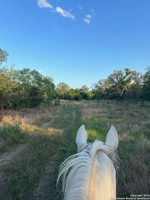 000 County Road 562, Devine, TX 78016