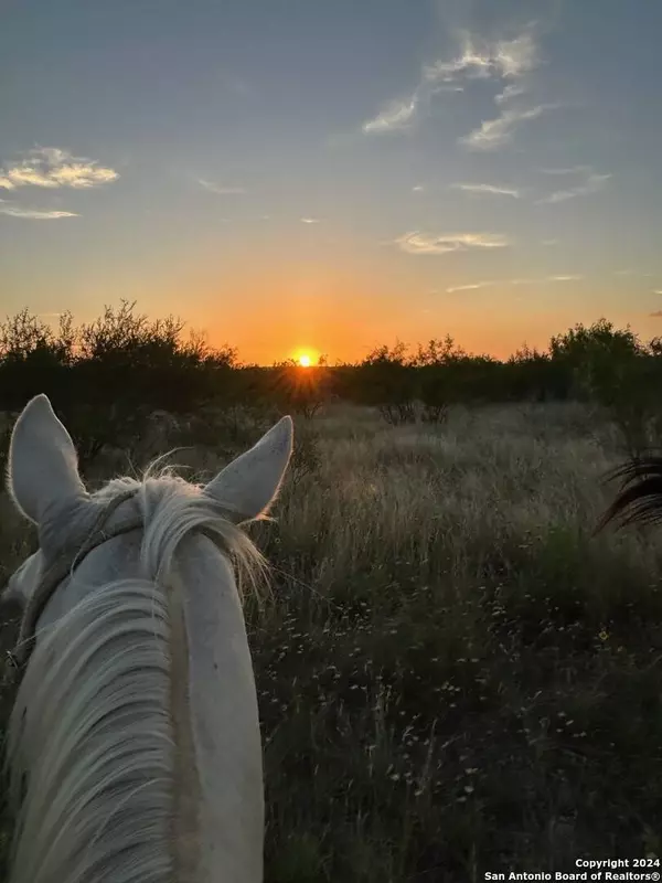 000 County Road 562, Devine, TX 78016