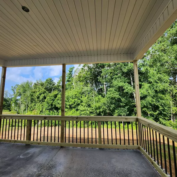 184 Sherlock Dr, Clarksville, TN 37043