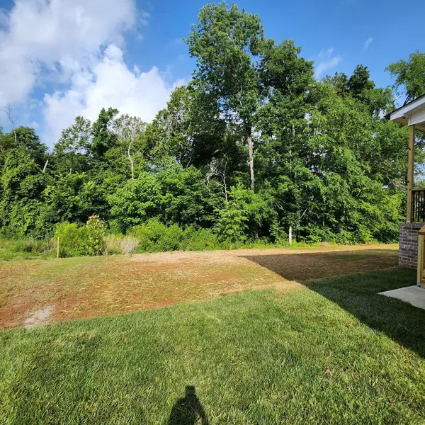 184 Sherlock Dr, Clarksville, TN 37043