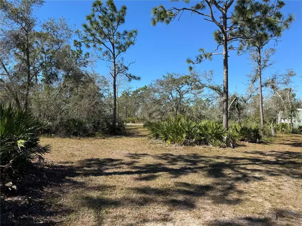 5116 NE COUNTRY RANCHES RD, Arcadia, FL 34266