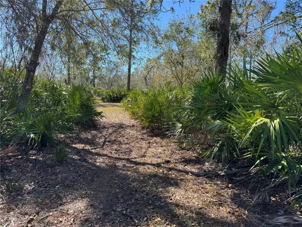 5116 NE COUNTRY RANCHES RD, Arcadia, FL 34266