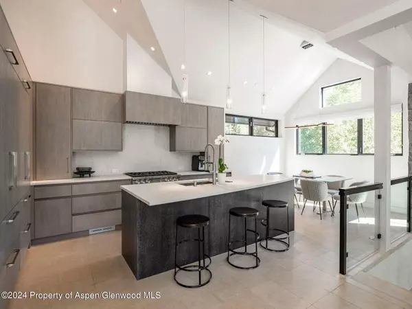 1154 E Cooper Avenue, Aspen, CO 81611