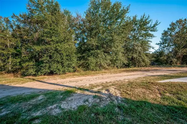 0 Tipperary ST, Hempstead, TX 77445