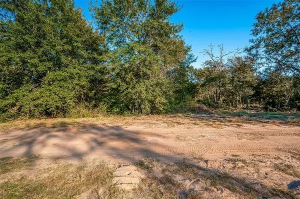 0 Tipperary ST, Hempstead, TX 77445