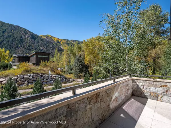 1154 E Cooper Avenue, Aspen, CO 81611