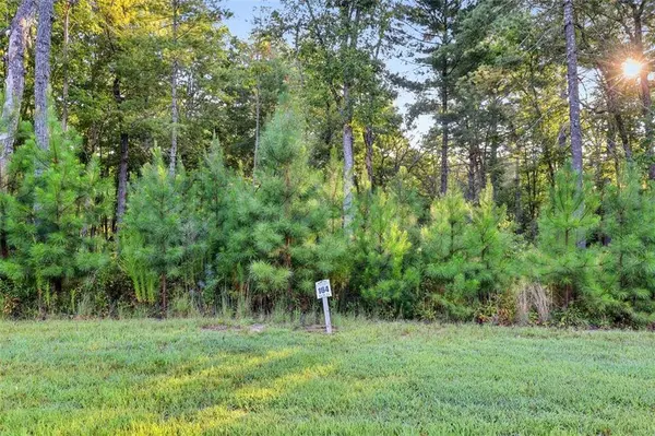 0 OAKWOOD WAY, LOT 164, Blairsville, GA 30152