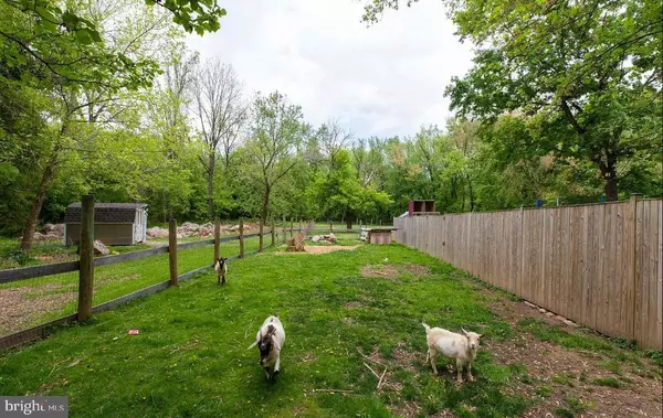 12462 JAMES MONROE HWY, Leesburg, VA 20176