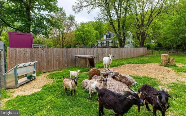 12462 JAMES MONROE HWY, Leesburg, VA 20176