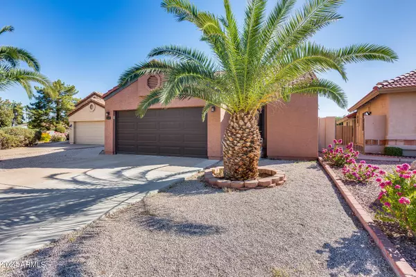 1681 E CINDY Street, Chandler, AZ 85225