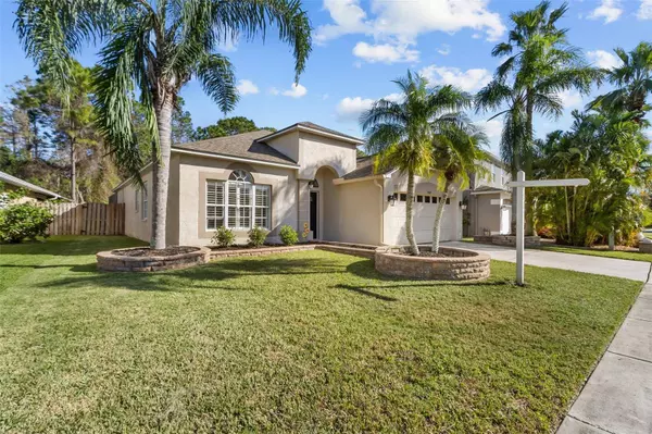 12527 SPARKLEBERRY RD, Tampa, FL 33626