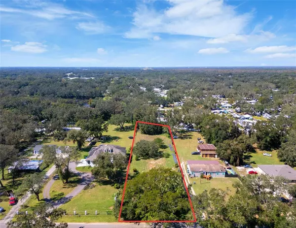 12008 GROVEWOOD AVE, Thonotosassa, FL 33592