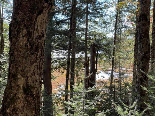 ON OTTER LN #Lot 1, Watersmeet, MI 49969