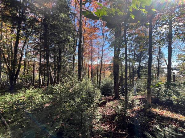 ON OTTER LN #Lot 1, Watersmeet, MI 49969