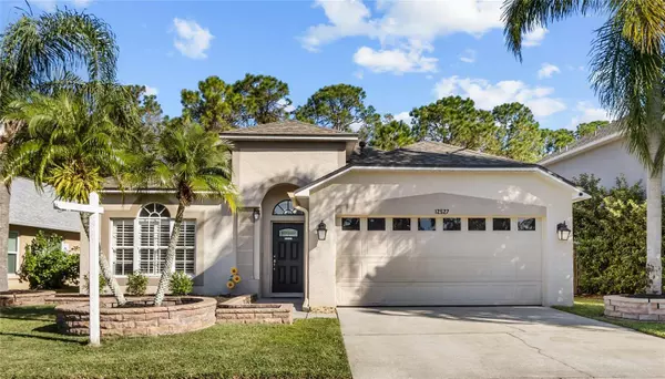 12527 SPARKLEBERRY RD, Tampa, FL 33626