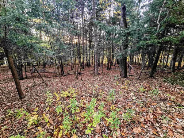 6 Baker Turn, Hartford, VT 05059