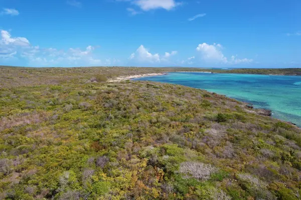 289 ACRES BURROWS HARBOUR Long Island,
