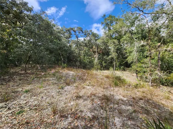 7399 W EDWARDIAN ST, Dunnellon, FL 34433