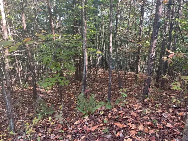 Lot 23 Trailblazer Way, Murphy, NC 28906