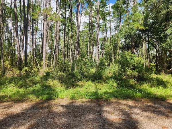 1093 VERCELLI LN, Citrus Springs, FL 34434