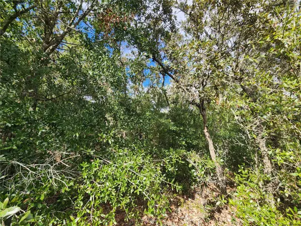 7399 W EDWARDIAN ST, Dunnellon, FL 34433