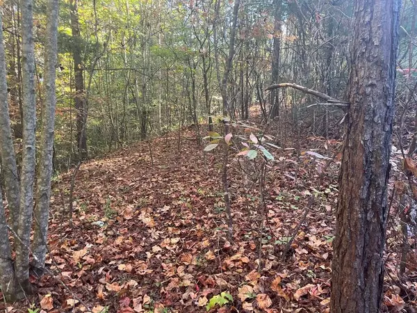 Lot 23 Trailblazer Way, Murphy, NC 28906