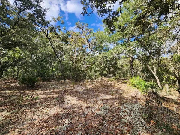 7399 W EDWARDIAN ST, Dunnellon, FL 34433