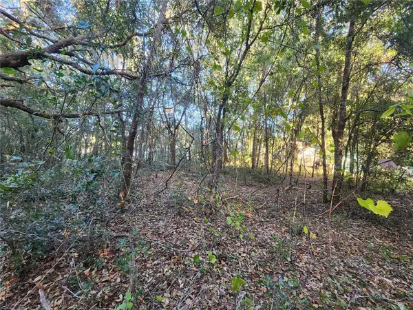 1112 RUSSELL AVE, Inverness, FL 34453