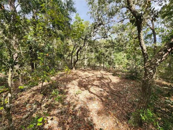 7399 W EDWARDIAN ST, Dunnellon, FL 34433