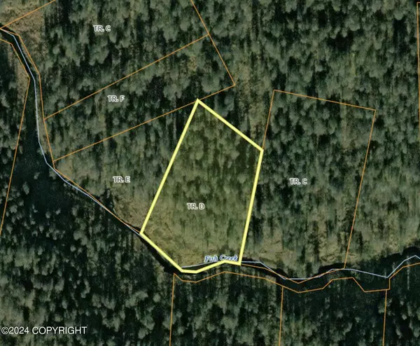 Tract D ASLS 79-043 No Road, Willow, AK 99688