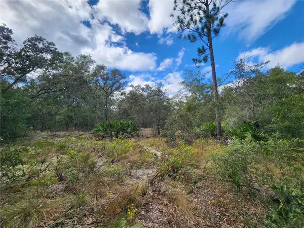 7399 W EDWARDIAN ST, Dunnellon, FL 34433