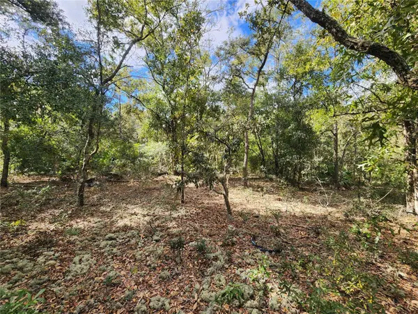 7399 W EDWARDIAN ST, Dunnellon, FL 34433