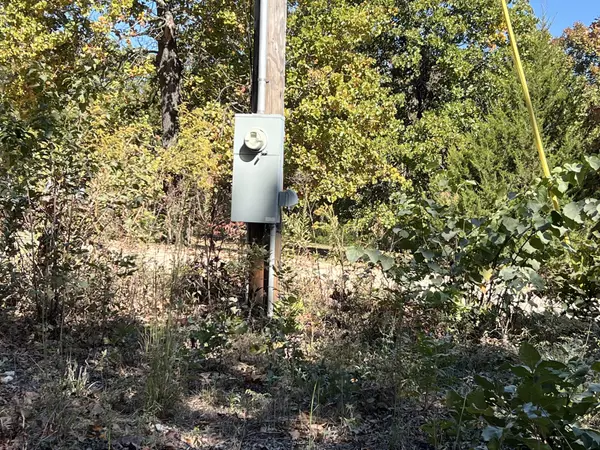 Deer on 40 Acres in Mammoth Spring Arkansas