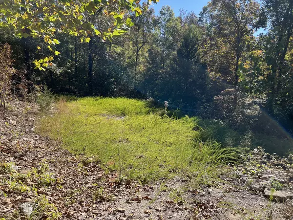 40 Acres in Mammoth Spring Arkansas