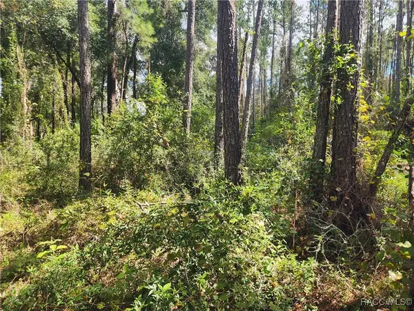 1093 Vercelli LN, Dunnellon, FL 34434