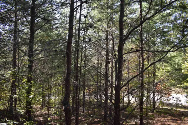 0 Holland Drive, Columbus, NC 28722