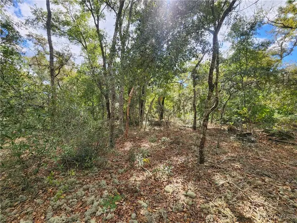 7399 W Edwardian ST, Dunnellon, FL 34433