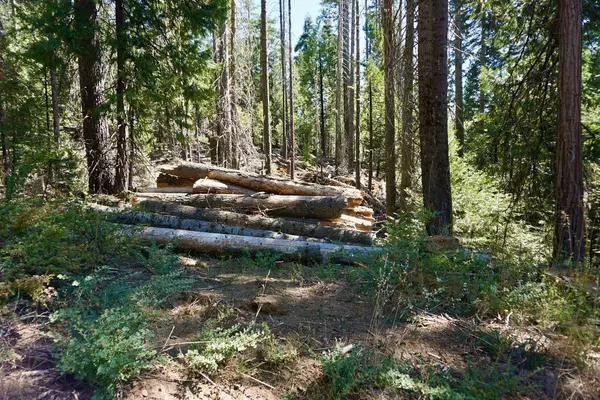 0 Providence Creek Road, Shaver Lake, CA 93664