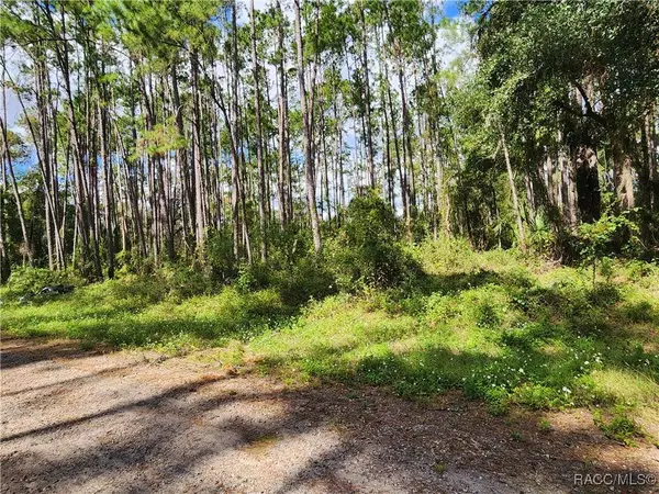 1093 Vercelli LN, Dunnellon, FL 34434