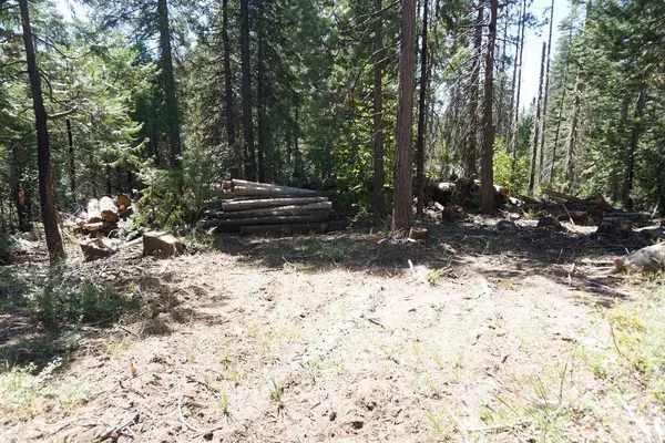 0 Providence Creek Road, Shaver Lake, CA 93664