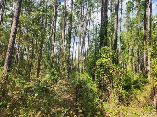 1093 Vercelli LN, Dunnellon, FL 34434