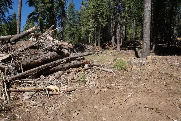 0 Providence Creek Road, Shaver Lake, CA 93664