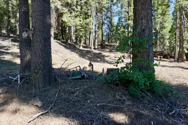 0 Providence Creek Road, Shaver Lake, CA 93664